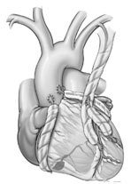 patient_resource_7